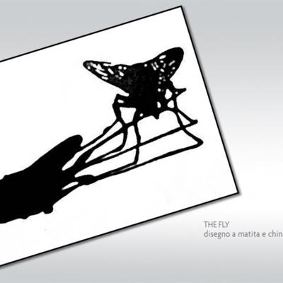 The Fly